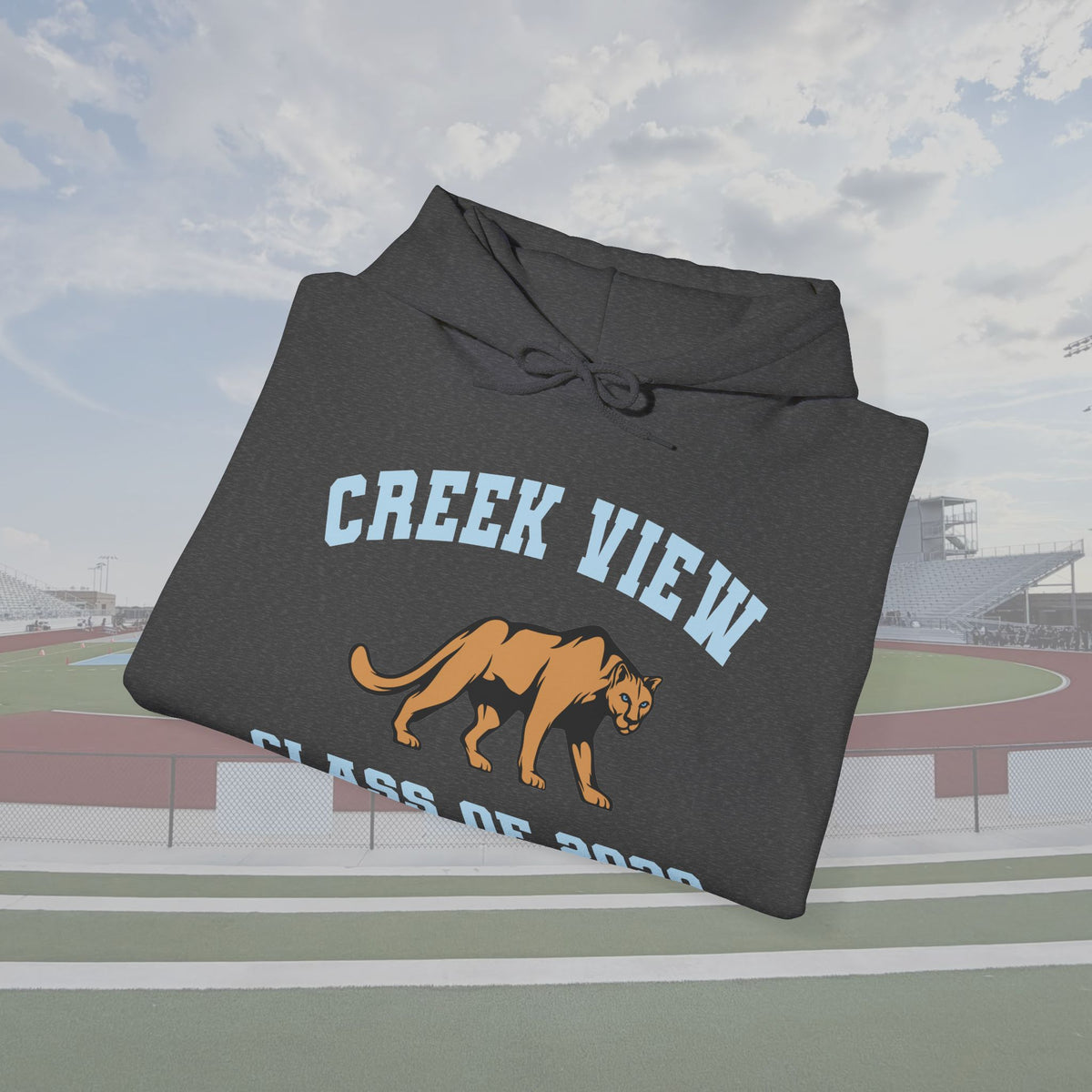 CVHS Class of 2028 Collegiate Cougar Unisex Hoodie